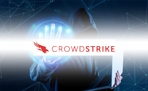 Cyber security – crowdstrinke